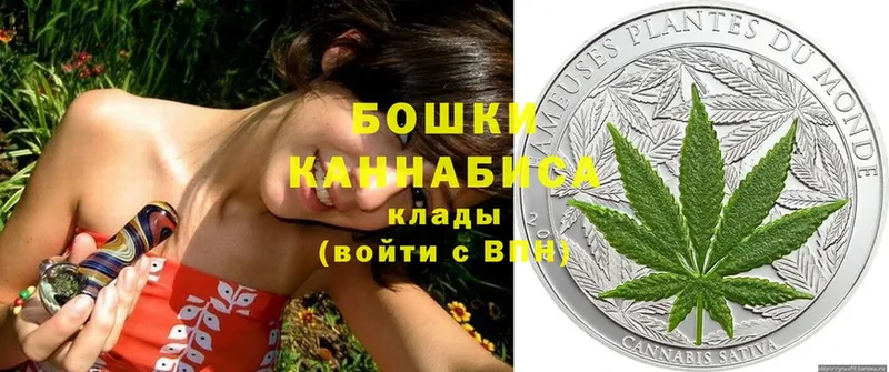 дарнет шоп  мега вход  Бошки Шишки THC 21%  Туринск 